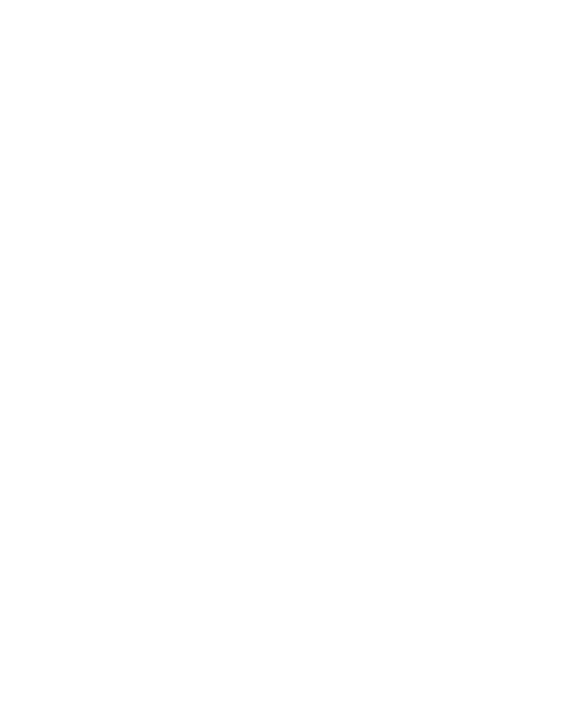 Star Citizen Logo AR